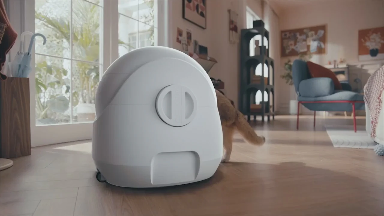 Smart Care for Happy Cats